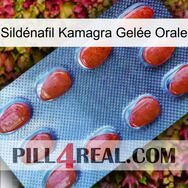 Sildénafil Kamagra Gelée Orale 06